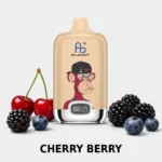 FUMOT Digital Box 12k-Cherry Berry